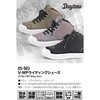 62543 DS-503 V-WPV[Y DAYTONA(fCgi) 60511721