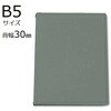 SK-530-26GL JeubN X^_[h^Cv B5 10 SK-530V[Y T[t 60674191