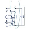 JP-BL2CS3SR xo[2 JP-BL2CSV[Y m[uh 60695437