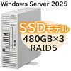 T110m-S Xeon 4C/16G/480GB*3/R5/W25