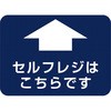 60872815