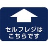 60872824