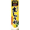 S&B エスビー おろし生しょうが 40g x10 ヱスビー食品