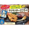 - [①]kC100 `[Y(o^[ݖ) 󃁃O~N 60900510