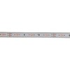 TP503-33PN LEDテープライト 3M巻 トライト 60960603