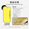 LN-IA23FGFN iPhone 15 Plus/iPhone 15 Pro Max ガラス 全画面 覗見防止 LEPLUS NEXT 61036817