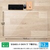 DM-006ES(41051) 斜めカット デスクマット エコノミー 透明 半光沢 マウス対応 軟質 PLUS(プラス)[文具] 61083566