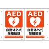 EA983AF-10 300x200mm AEDW GXR 61144556