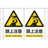 EA983AF-9 300x200mm 㒍ӕW GXR 61144574
