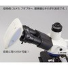 PCM500 yw@탌^T[rXzpʐMfW^J AY 61147364