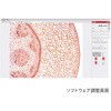 PCM500 yw@탌^T[rXzpʐMfW^J AY 61147364