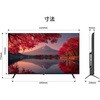 JN-IPS55UHD-M fBXvC55^/3840~2160/HDMI~3/ubN/Xs[J[L/2Nۏ JAPANNEXT 61158959