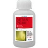 02-100 ֐yCgPG80 Zk LfB[J[ t CS[h PROST's 61257546