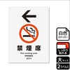 KFK1101 ։֘AW SXebJ[ KALBAS 61257929