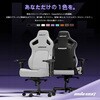 AD12YDDC-L-20-B-PV/C KAISER 4 Q[~O`FA Andaseat(A_V[g) 61266357