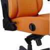 AD12YDDC-L-20-O-PV/C KAISER 4 Q[~O`FA Andaseat(A_V[g) 61266330