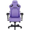 AD12YDDC-L-20-V-PV/C KAISER 4 Q[~O`FA Andaseat(A_V[g) 61266400