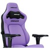 AD12YDDC-L-20-V-PV/C KAISER 4 Q[~O`FA Andaseat(A_V[g) 61266400