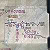 61336460
