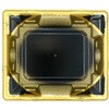 61345569
