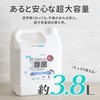 PL-DS01CL3800B-2SET AR[ۃXv[(qA_) +LIFE 61402889