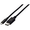 USB Type-C - DisplayPort 変換ケーブル(2m) CP200シリーズ EIZO