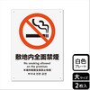KTK1097 ։֘AW v[g KALBAS 61432920