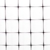61454217,61495587,61495578,61454208