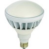 エコビックLED投光器20W 交換球 日動工業