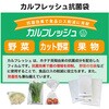 カルフレッシュ抗菌鮮度保持袋 服部