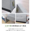 FLS-113 (IV) A[t\t@ YAMAZEN(RP) 61500865