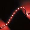 530966 LED\tg[NEO JET INOUE(WFbgCmEG) 61523228