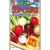 【タネ】 レインボー ラディッシュ アタリヤ農園