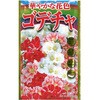 【タネ】 華やかな花色 ゴデチャ アタリヤ農園