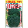 【タネ】 側枝も収穫!早どり 早生ブロッコリー アタリヤ農園