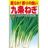 【タネ】 柔らか!香りの良い 九条ねぎ アタリヤ農園