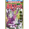 【タネ】 あでやかな香り 切花ストック アタリヤ農園