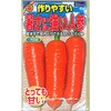 【タネ】 作りやすい 暑さに強い人参 アタリヤ農園