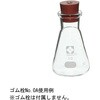 010530-10A 三角フラスコ(SIBATA) SIBATA(柴田科学) 61614264