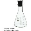 010530-100A 三角フラスコ(SIBATA) SIBATA(柴田科学) 61614307
