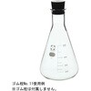 010530-500A 三角フラスコ(SIBATA) SIBATA(柴田科学) 61614334