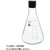 010530-1000A 三角フラスコ(SIBATA) SIBATA(柴田科学) 61614343