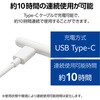 P-TPACST04WH タッチペン スタイラスペン Type-C充電 磁気吸着 樹脂(POM) ペン先交換可 【iPad スマホ タブレット対応】 エレコム 61629200