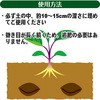 2 50g _y iX̔엿 nӑ 61704397