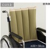 1360040010101 背中さらっとクッション 夏場でもムレにくい い草クッション イケヒコ・コーポレーション 61844084