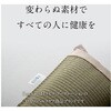 1360040010101 背中さらっとクッション 夏場でもムレにくい い草クッション イケヒコ・コーポレーション 61844084
