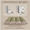 1360040010101 背中さらっとクッション 夏場でもムレにくい い草クッション イケヒコ・コーポレーション 61844084