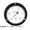 AE15-233 普通形圧力計(Φ100)埋込形D枠(取付穴)耐振用 AE15-233シリーズ 長野計器 61853787