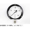 AE20-233 ���ʌ`���͌v(��100)���`B�g �ϐU�p AE20-233�V���[�Y ����v�� 61854724