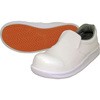 #5100 nCp[V#5100 JSAA AF c~[V[Y iS 61963913